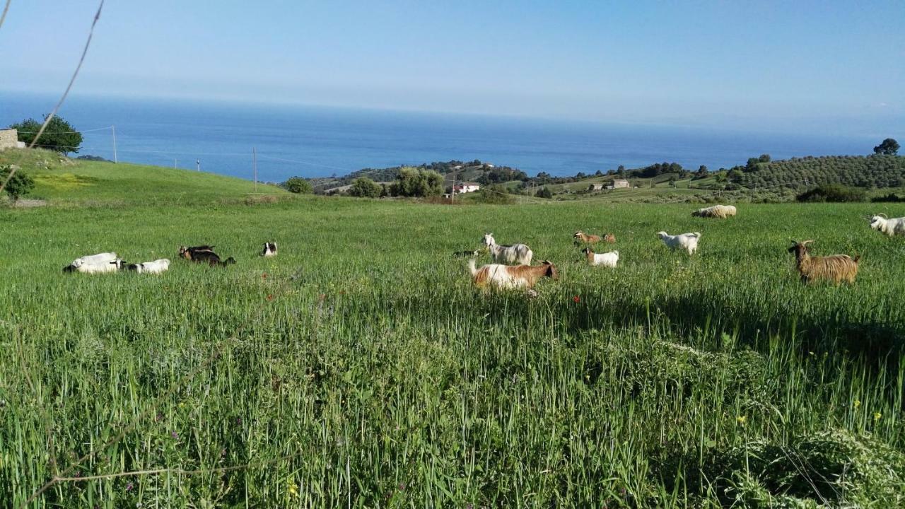 Willa Agriturismo Masseria Tufaro Albidona Zewnętrze zdjęcie